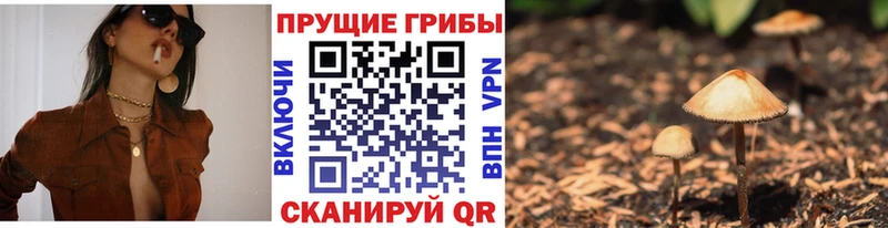 ОМГ ОМГ ССЫЛКА  Тихорецк  даркнет клад  Галлюциногенные грибы GOLDEN TEACHER 