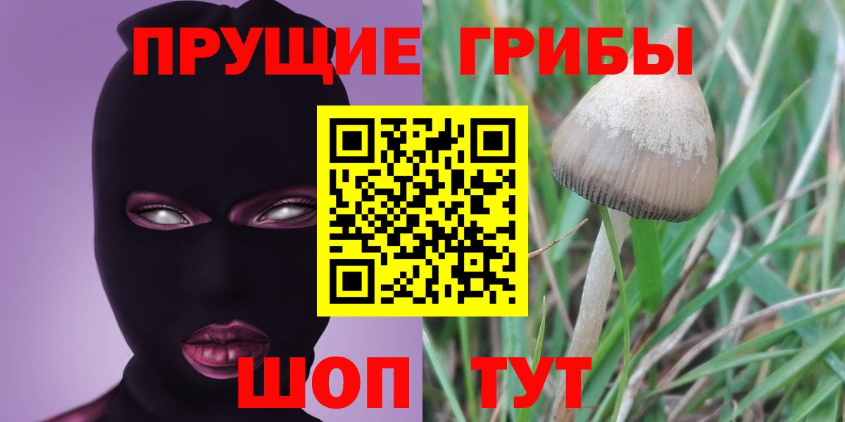 Псилоцибиновые грибы GOLDEN TEACHER  Псилоцибиновые грибы мухоморы  Тихорецк  Вход с VPN 
